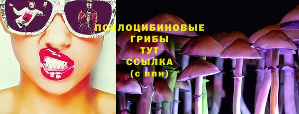 apvp Бронницы