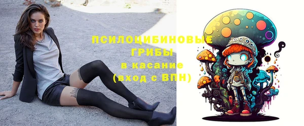 apvp Бронницы