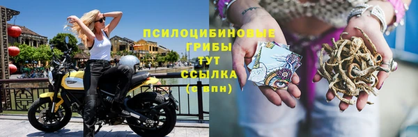 скорость mdpv Бородино